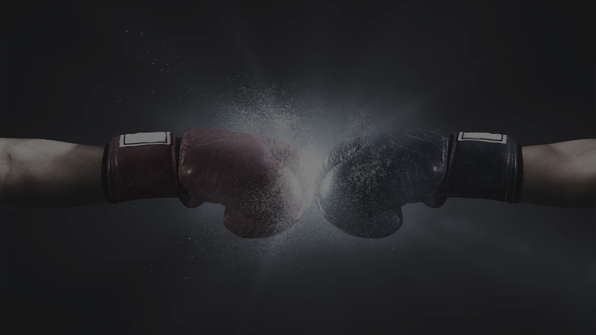 新着情報